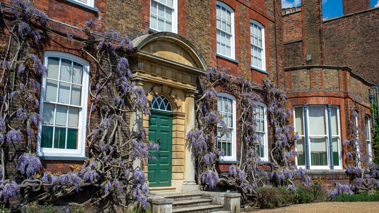 Wisteria on the front of Peckover House and Garden Cambridgeshire